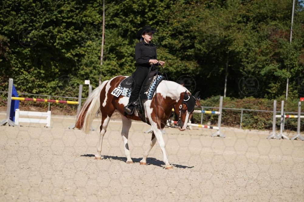 s_A_908108.JPG